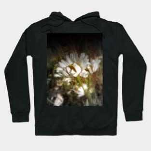 daisies Hoodie